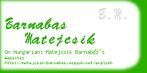 barnabas matejcsik business card